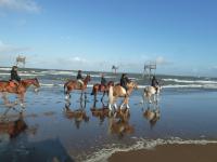 plage chevaux